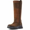 2022 Ariat Mens Moresby Waterproof Tall Boot 10042558 - Java -Equestrian Clothing Store 10042558 3 4 front.700x700