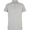 2022 Dubarry Mens Sorrento Polo Shirt 4256 - Platinum Colour Platinum