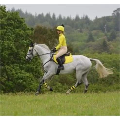 2022 Woof Wear Performance Riding Shirt WA0001 - Sunshine Yellow Colour Sunshine Yellow -Equestrian Clothing Store 2861 DSC 0857.700x700