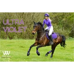 2022 Woof Wear Performance Riding Shirt WA0001 - Ultra Violet Colour Ultra Violet -Equestrian Clothing Store 3747 Ultra20Violet202.700x700