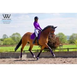 2022 Woof Wear Performance Riding Shirt WA0001 - Ultra Violet Colour Ultra Violet -Equestrian Clothing Store 3747 Ultra20Violet204.700x700