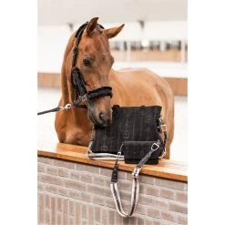 2022 HV Polo Lauren Grooming Bag 3404493458 - Navy -Equestrian Clothing Store 5319 79f0ebc1b6f9ed0c4a05c59cc1ef426f77699fb9 3404493458 9000 mood.700x700