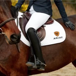 Ariat Womens Nitro Max Long Riding Boots 10031676 - Black -Equestrian Clothing Store Ariat20Womens20Nitro20Max20Long20Riding20Boots201003167620 20Black20111.700x700