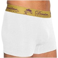 2022 Derriere Equestrian Mens Performance Seamless Shorty Underwear DEPSSM14 - White Colour White