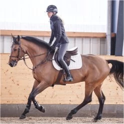 2022 Ariat Womens Palisade Paddock Boot & Palisade Chap Bundle - Black -Equestrian Clothing Store ariat palisade tall blk ls07.700x700